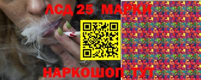 стаф Кандалакша