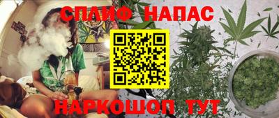 стаф Кандалакша