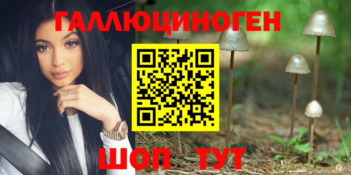 Галлюциногенные грибы Psilocybine cubensis Красноуфимск